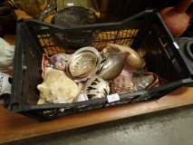 August_Auction_Pic_044
